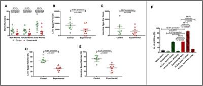 Fifteen Years of Sm-p80-Based Vaccine Trials in Nonhuman Primates: Antibodies From Vaccinated Baboons Confer Protection in vivo and in vitro From Schistosoma mansoni and Identification of Putative Correlative Markers of Protection